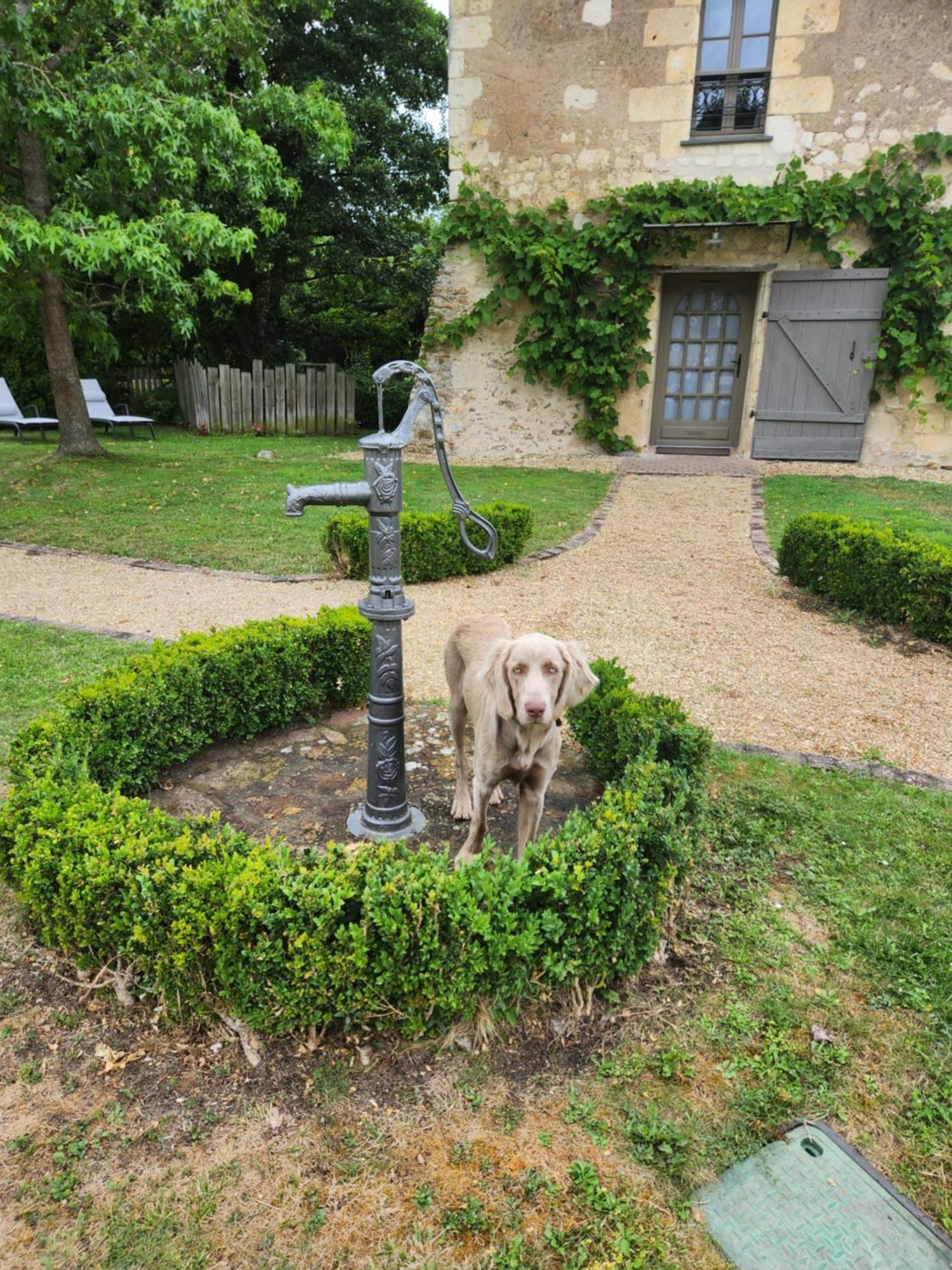 La Tour Du Grand Boust Villa Longue Exterior photo